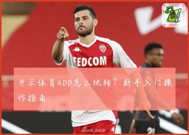 开云体育app怎么玩转？新手入门操作指南