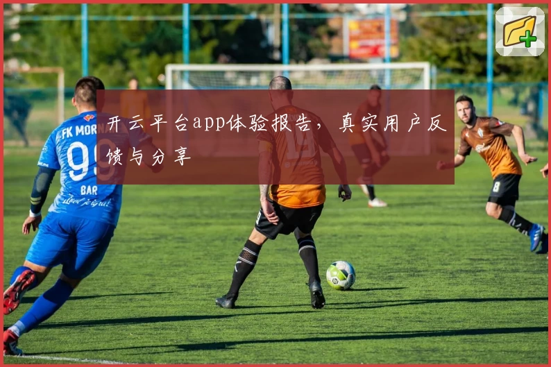 开云平台app体验报告，真实用户反馈与分享