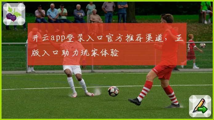 开云app登录入口官方推荐渠道，正版入口助力玩家体验